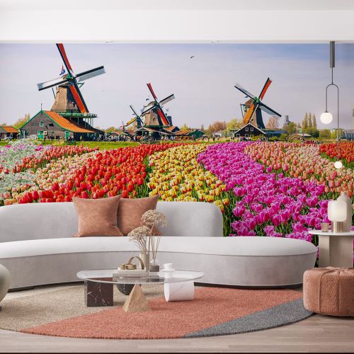 Mural Dinamarca - Amsterdam Tulipanes