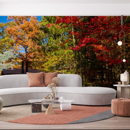 Mural Estados Unidos - Wisconsin Arboleda Otoño