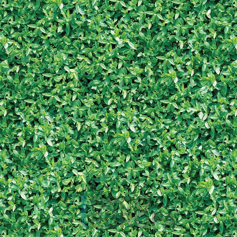 Mural Hojas Verdes y Tropicales - PDF02