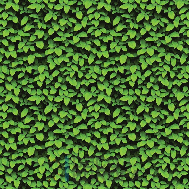 Mural Hojas Verdes y Tropicales - PDF07