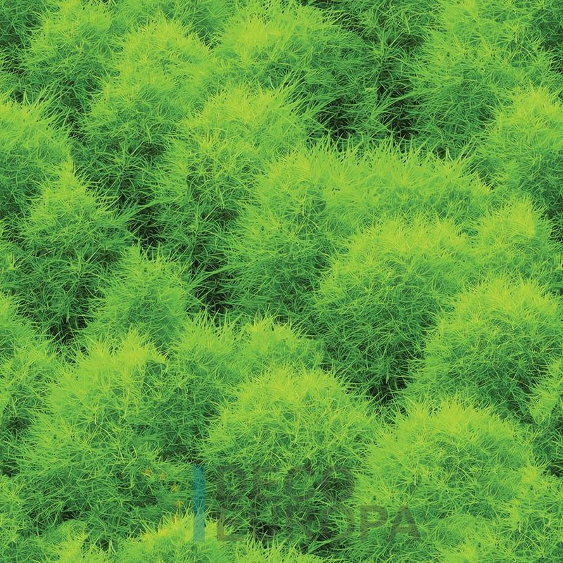 Mural Hojas Verdes y Tropicales - PDF13