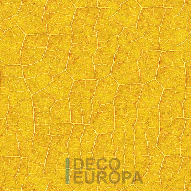 Mural Hojas Verdes y Tropicales - PDF42