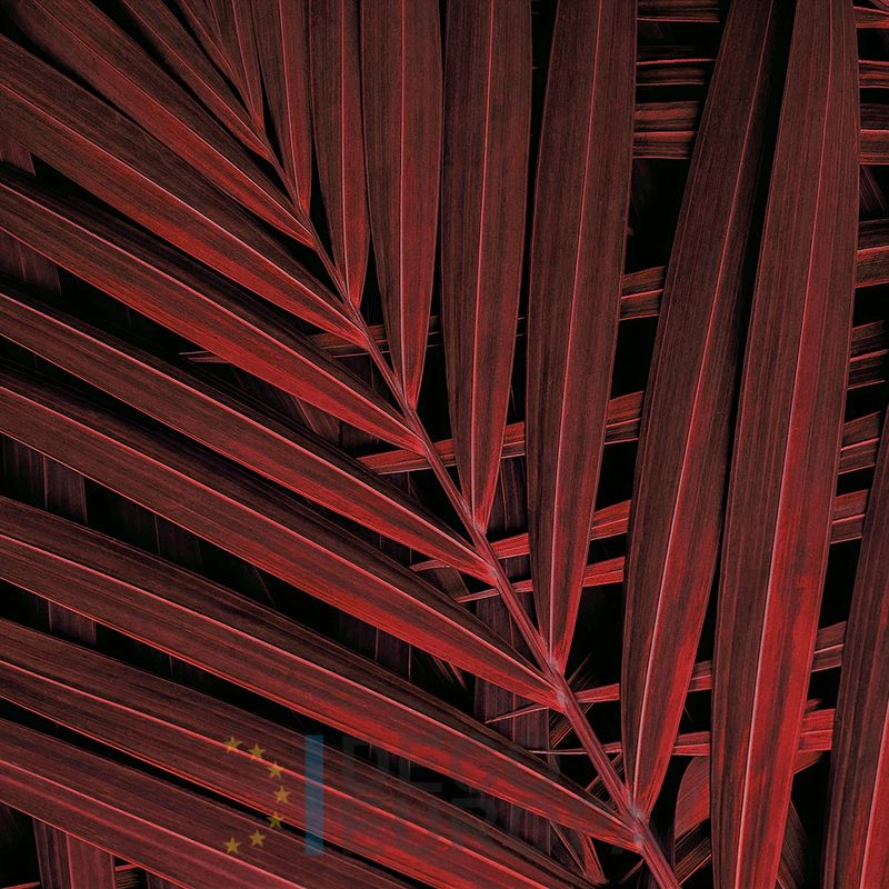 Mural Hojas Verdes y Tropicales - PDF86