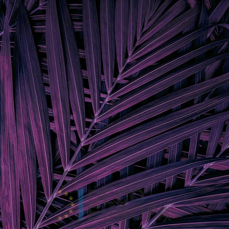 Mural Hojas Verdes y Tropicales - PDF87