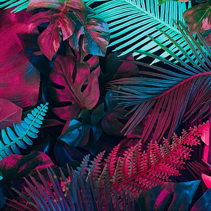 Mural Hojas Verdes y Tropicales - PDF90