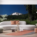 Mural Estados Unidos - Lassen