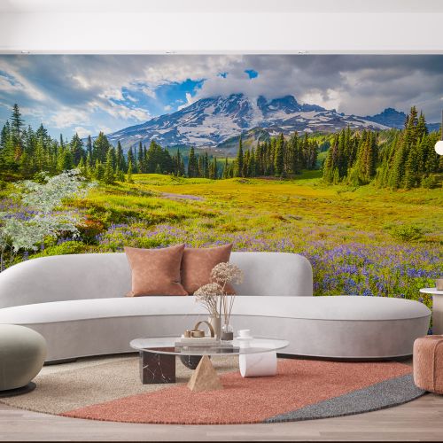 [1313] Mural Estados Unidos - Parks Montaña Y Vegetacion