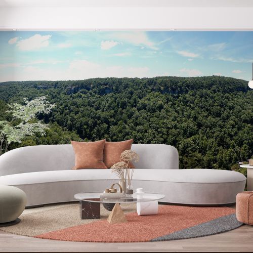 [1323] Mural Estados Unidos - Rio Gran Cañon