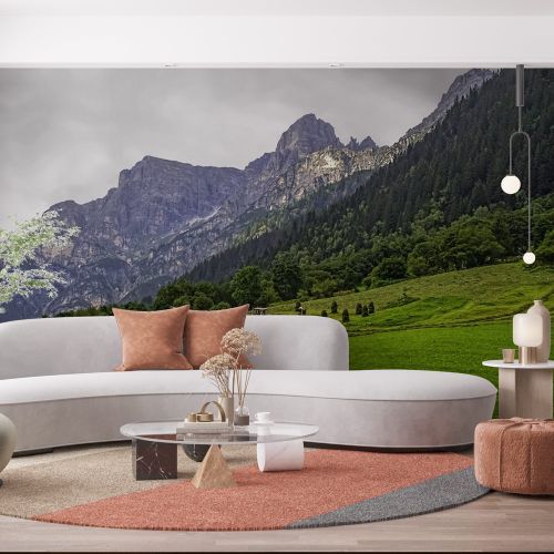 [1344] Mural Austria - Alpes