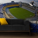 Mural Alemania - Bombonera Ojo Pez