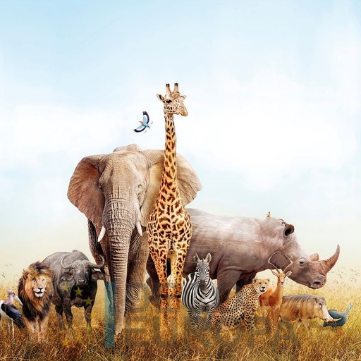 [PDPBA076] Mural Naturaleza Animada - PDPBA076