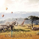 Mural Naturaleza Animada - PDPBA077