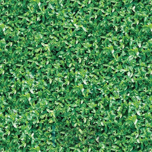 [PDF02] Mural Hojas Verdes y Tropicales - PDF02