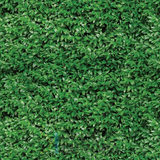 [PDF05] Mural Hojas Verdes y Tropicales - PDF05