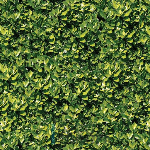 [PDF06] Mural Hojas Verdes y Tropicales - PDF06