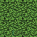 Mural Hojas Verdes y Tropicales - PDF07