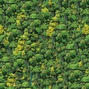 Mural Hojas Verdes y Tropicales - PDF08