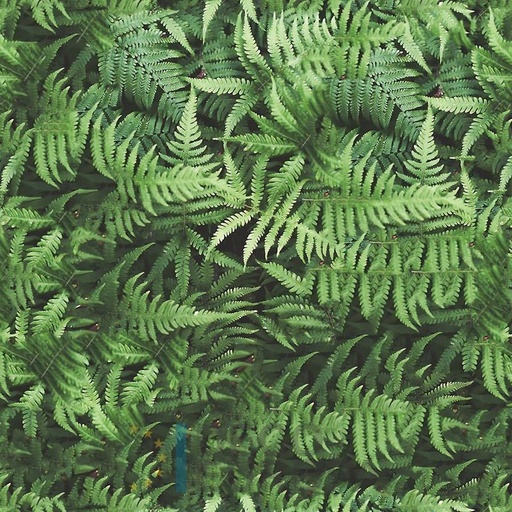 [PDF11] Mural Hojas Verdes y Tropicales - PDF11