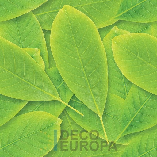 [PDF14] Mural Hojas Verdes y Tropicales - PDF14