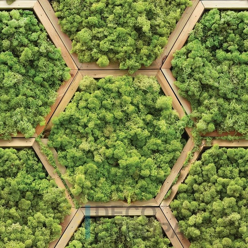 [PDF16] Mural Hojas Verdes y Tropicales - PDF16