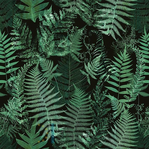 [PDF17] Mural Hojas Verdes y Tropicales - PDF17