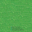 Mural Hojas Verdes y Tropicales - PDF39