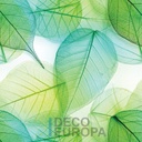 Mural Hojas Verdes y Tropicales - PDF48