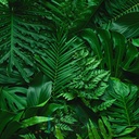 Mural Hojas Verdes y Tropicales - PDF51