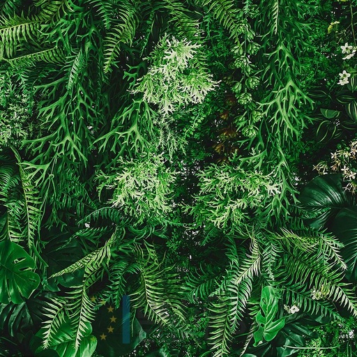 [PDF59] Mural Hojas Verdes y Tropicales - PDF59