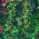 Mural Hojas Verdes y Tropicales - PDF63