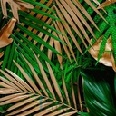 Mural Hojas Verdes y Tropicales - PDF77