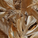 Mural Hojas Verdes y Tropicales - PDF81