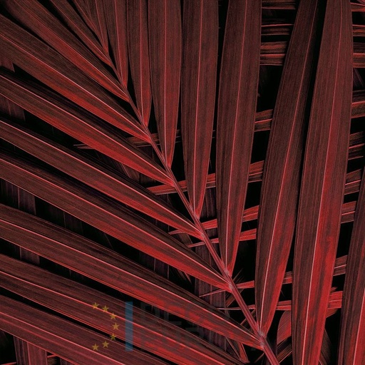 [PDF86] Mural Hojas Verdes y Tropicales - PDF86