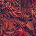 Mural Hojas Verdes y Tropicales - PDF88