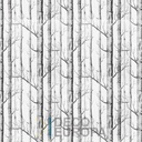 Mural DecoFun - PDSDCA041