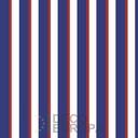 Mural Bandas y Lineas - PDSDLI129