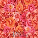 Mural Floral - PDSDFL031