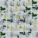 Azulejos Deco 25289