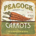 Azulejos Vintage 25431