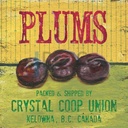 Azulejos Vintage 25432