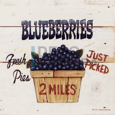 [25439] Azulejos Vintage 25439